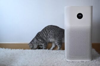 客廳中的空氣清淨機與貓咪 / Air purifier with filter and cat in living room