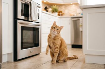 微波爐與電烤箱選購指南封面 / Microwave and oven buying guide cover